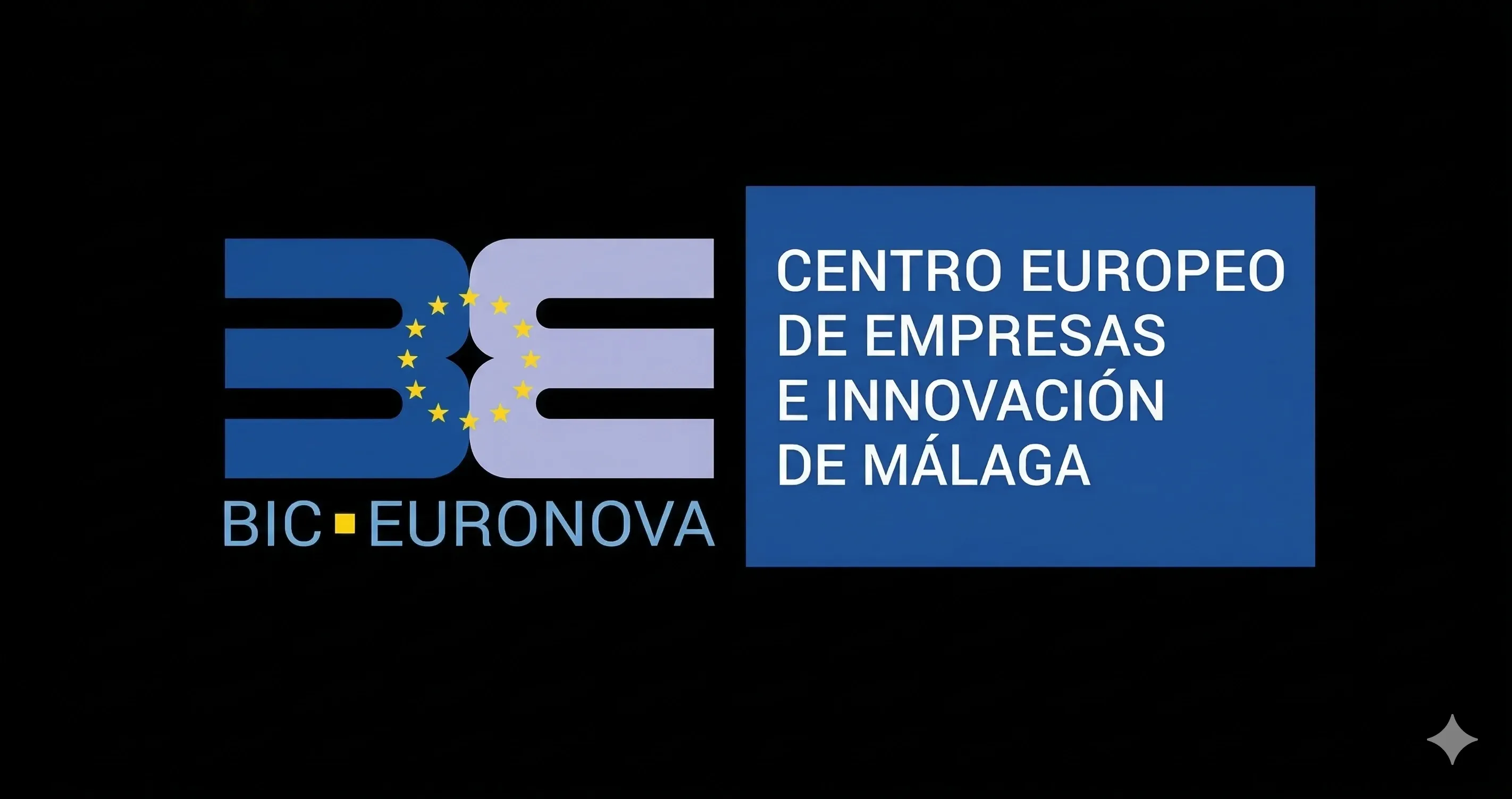 Centro Europeo de Empresas e Innovación