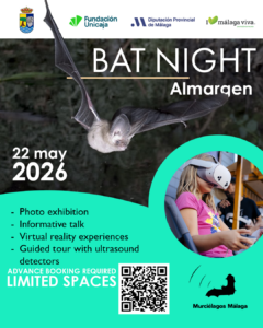 Poster Bat Night for 22 May 2026