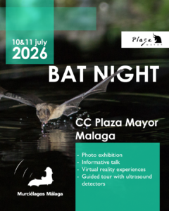 Poster Bat Night for 10&11 July 2026