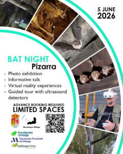 Poster Bat Night for 05 June 2026