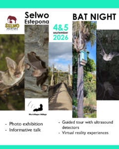 Poster Bat Night for 4&5 September 2026