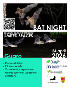 Poster Bat Night for 24 April 2026