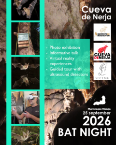 Poster Bat Night for 25 September 2026