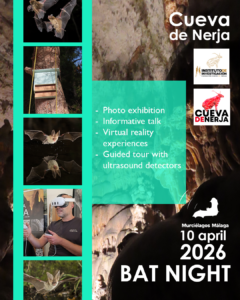 Poster Bat Night for 10 April 2026