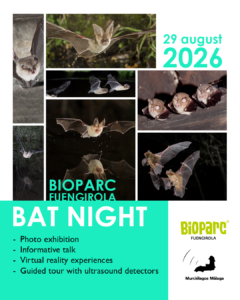 Poster Bat Night for 29 August 2026