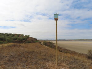 This is a bat box attached to a pole.