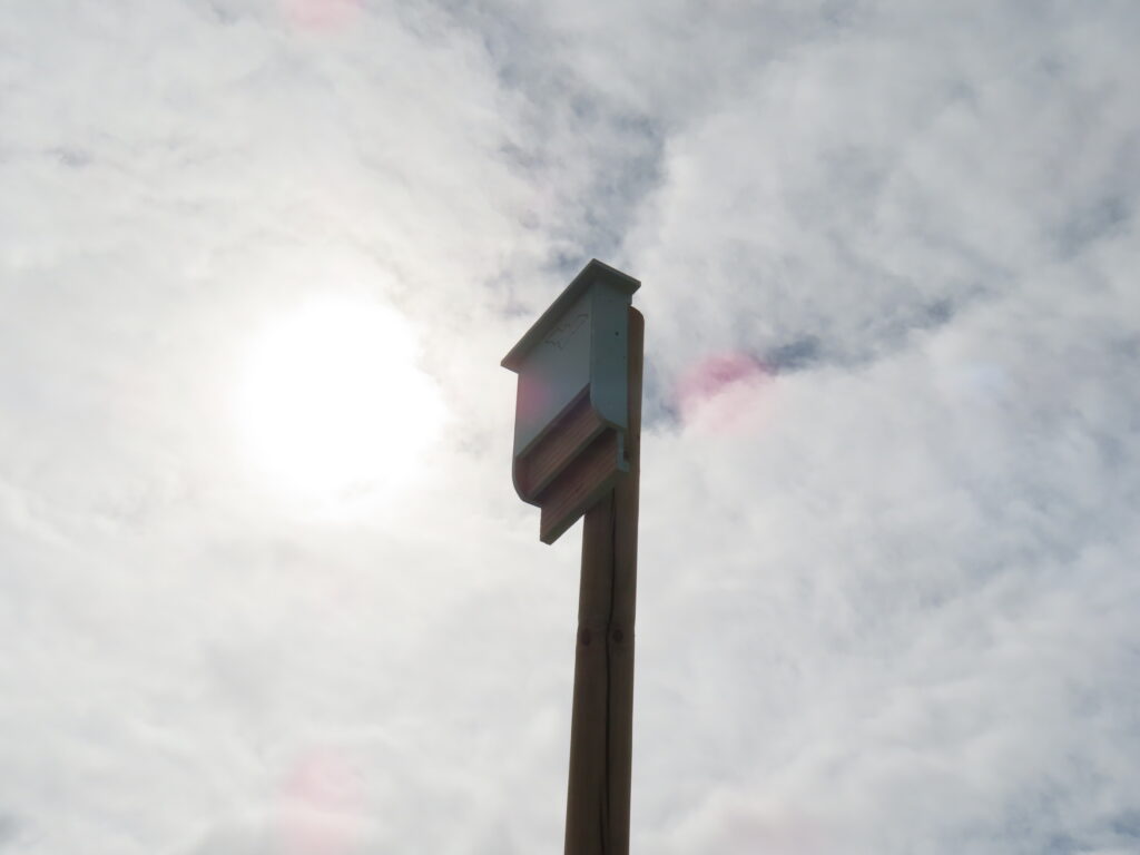 This is a bat box attached to a pole.