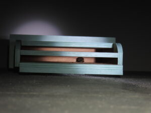 This is the inside of a bat box with a bat in it.